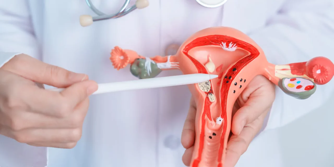 자궁경부암 검사 가이드: 중요성, 방법, 주기 및 전문가 조언
